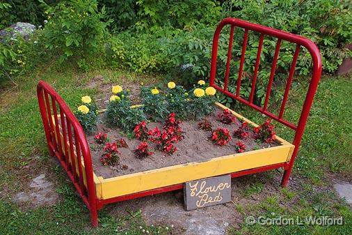 Flower Bed_03639.jpg - Photographed near Parry Sound, Ontario, Canada.